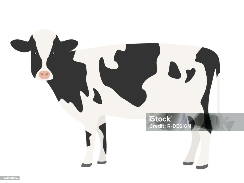 An illustration of a cow. Cow stock vector