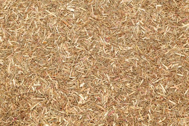 istock Air dried and cut organic Lemongrass. 961691150