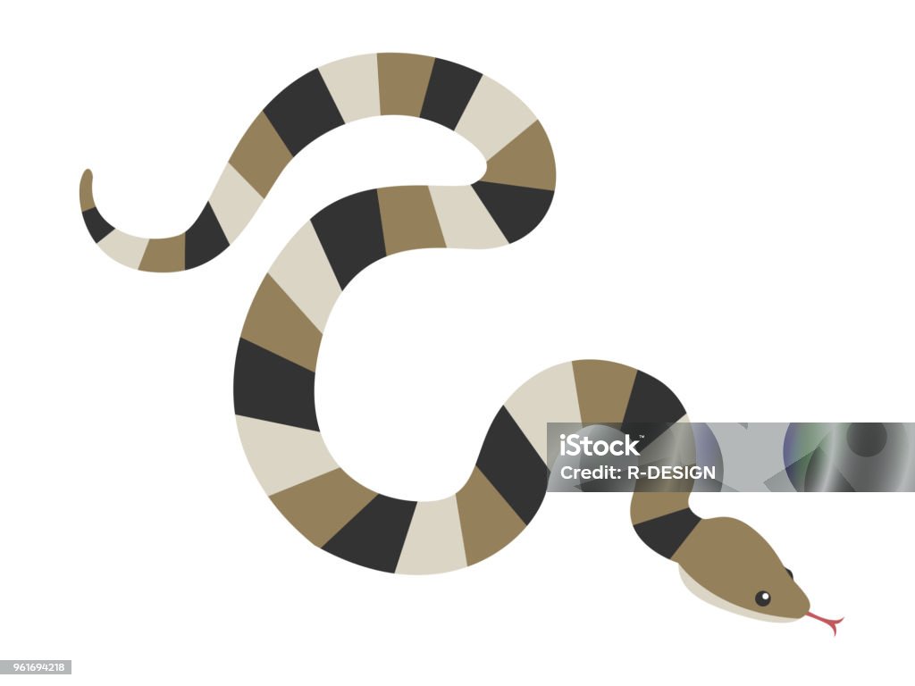 Illustrazione serpente. - arte vettoriale royalty-free di Serpente - Rettile