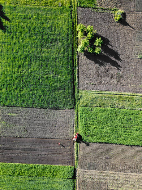 istock Aerial view on a rural field a tractor works 961696050