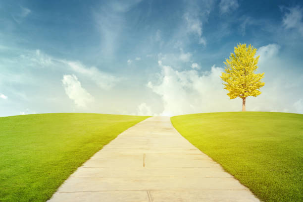 istock Green field and autumn tree under blue skywith sunlight 961696174
