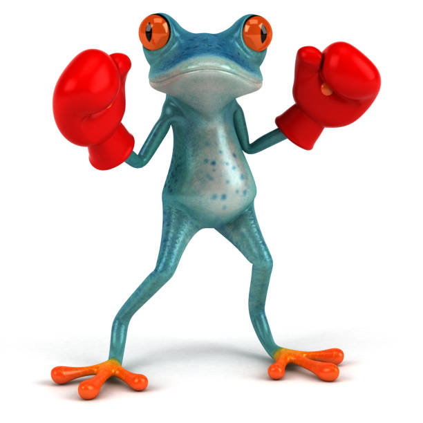 Boxing Frog 30+ Frog Fighting Boxing Animal Stock Photos, Pictures & Royalty-Free ...