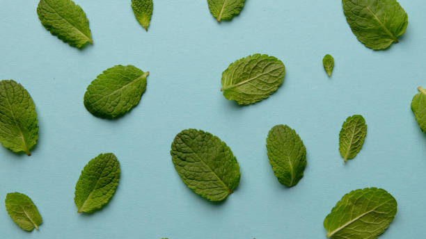 istock Pattern of green mint leaves on a blue background 961696436