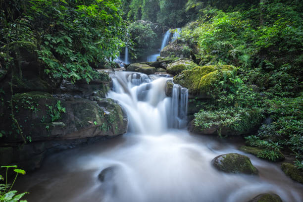 istock Waterfall in Thailand. Peaceful natural background with beautiful waterfall in jungle rainforest with wet stones in water and natural pond pool. 961699572