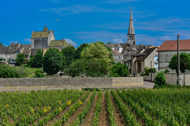 istock france burgundy meursault 961700600