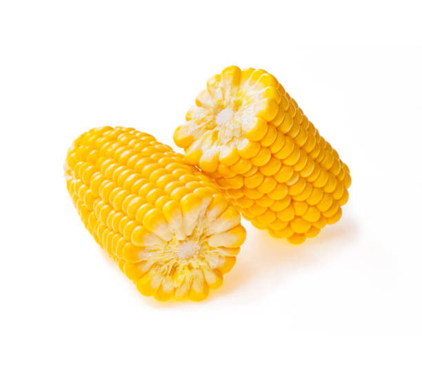 succoso orecchio giallo di mais, isolato su bianco - corn on the cob corn cooked boiled foto e immagini stock