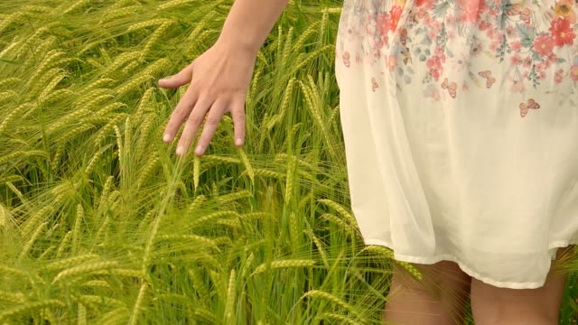 Young attractive european girl walking through wheat field
