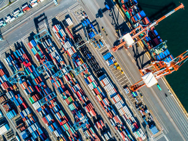 istock Containers of various colors are lined next to the sea. 961701796