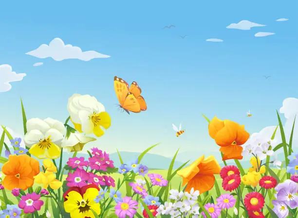 Vector illustration of Beautiful Blooming Meadow