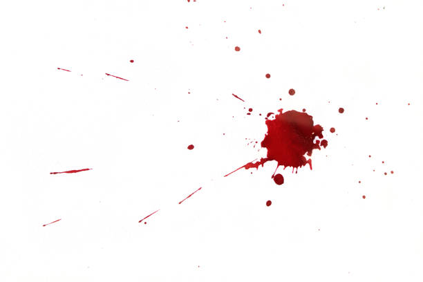 blood splatters on white background - spray splattered blood paint imagens e fotografias de stock