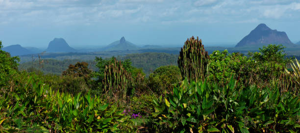 istock Mountain view of the Glass House Mountains Hinterlands. 961719476