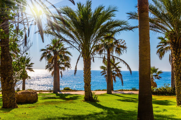 istock Picturesque sunset on the Mediterranean Sea 961721082