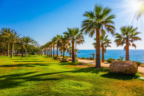 istock Island in the Mediterranean 961721092