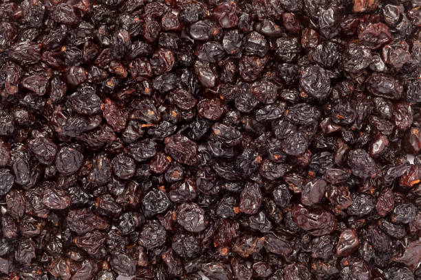 istock Organic air dried Blueberries. 961721364