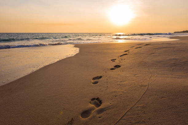 istock Landscape of sunset on the beach 961725884