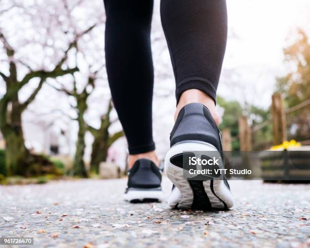 Woman Legs Sport Shoe Walk In Park Outdoor Sakura Tree Stock Photo - Download Image Now