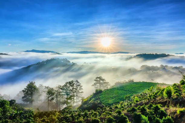 istock Sunrise over hillside as the sun rising from horizon reflect light bright yellow sky 961729206