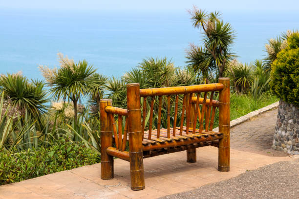 istock Bamboo bench in Batumi botanical garden, Georgia 961732238