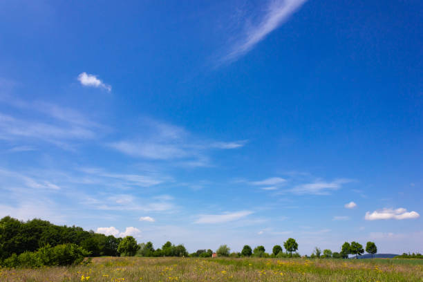 istock beautiful spring meadow flowers on blue sky wide view 961735546