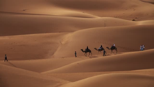 Camel caravan with tourists in sand dunes