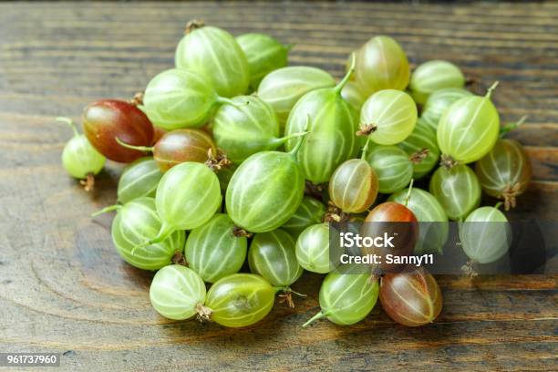 Green Organic Berries Gooseberries Stock Photo - Download Image Now - Agriculture, Backgrounds, Berry