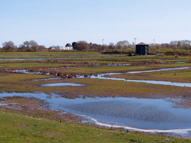 istock London Wetland Centre 961748604