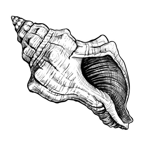 My Image 25