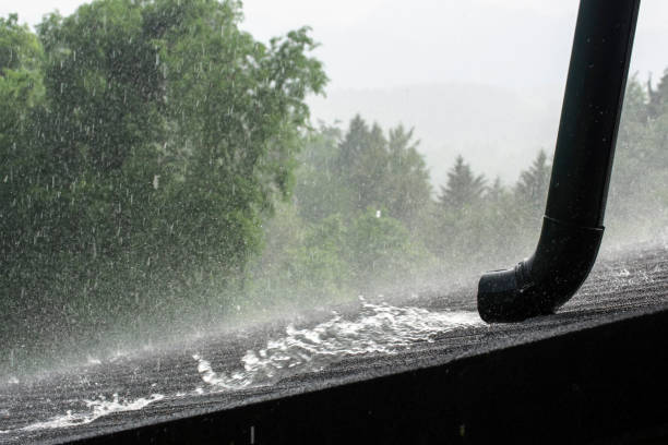 Summer shower stock photo