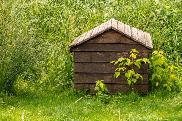 istock animal hut in green nature 961757266