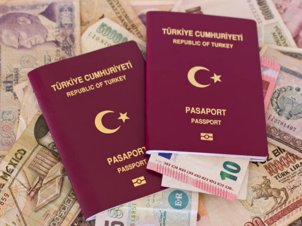 istock Foreign passports and money from the countries 961757302