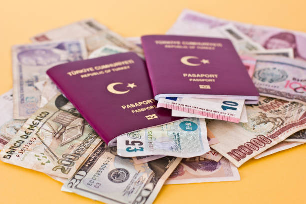 istock Foreign passports and money from the countries 961757428