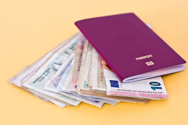 istock Foreign passports and money from the countries 961758476