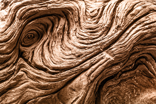 Driftwood detail. Natural textured background