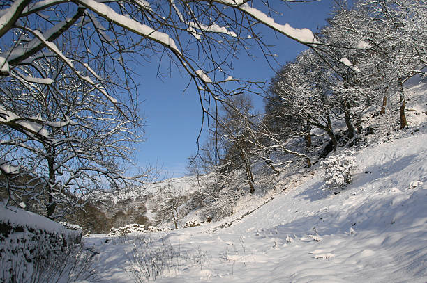 istock Snow in the Yorkshire Dales 96176787