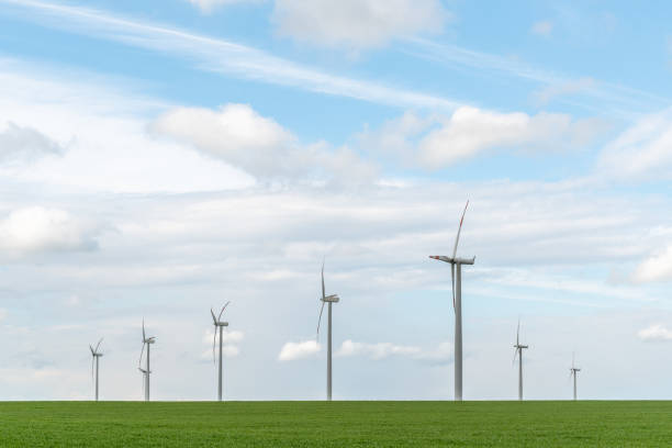 istock Windmills on the colza field 961767942