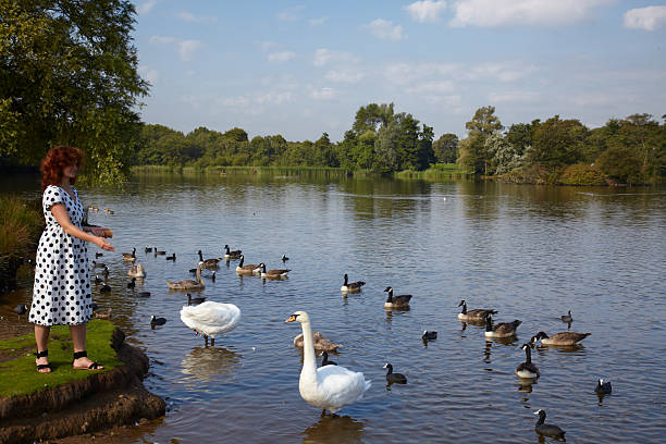 Woman feeding birds in a lake