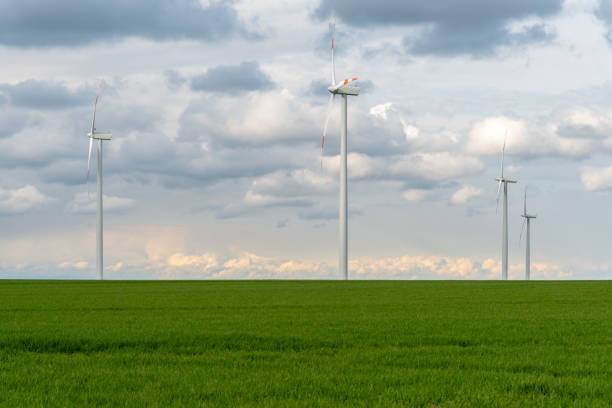 istock Windmills on the colza field 961774684