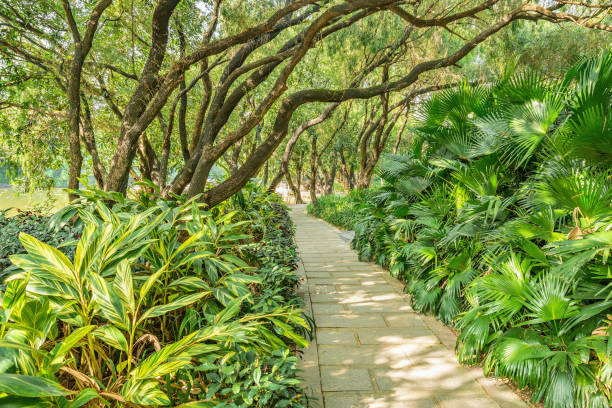 istock Narrow path in the city park. 961778164