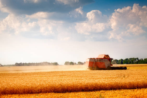 istock harvester combine on wheat field 961779880