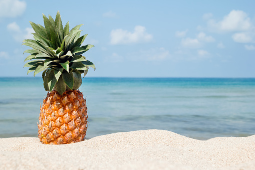 Summer tropical landscape with pineapple on the white sand beach on the background of blue sea and sky on a sunny day.
