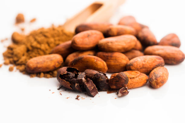 istock cacao beans and cacao powder in spoon 961782708