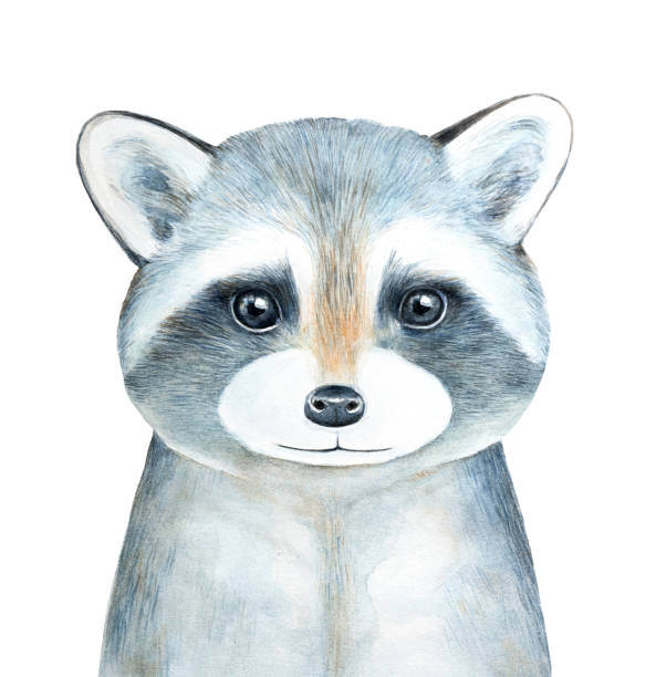 너구리 캐릭터 수채화 초상화입니다. - animal animal themes illustration and painting animal head stock illustrations