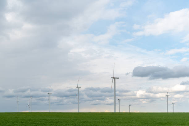 istock Windmills on the colza field 961784450