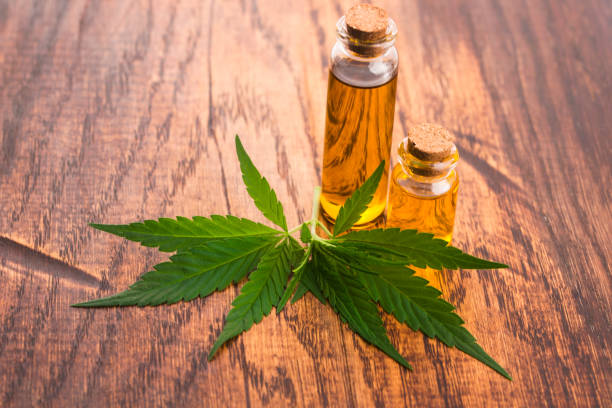 istock marijuana plant and cannabis oil 961788644