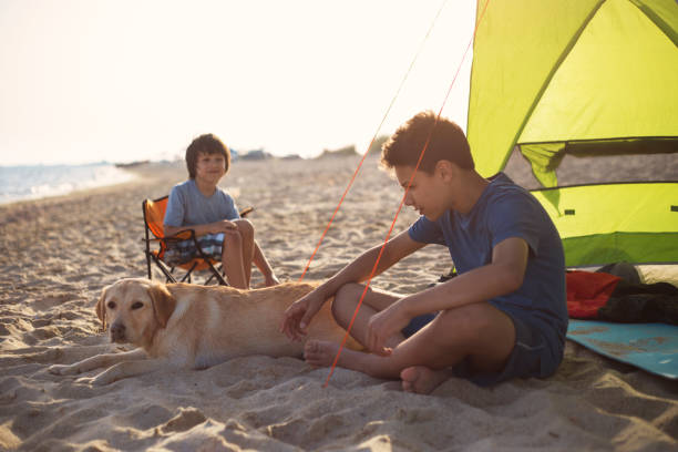 istock The boy's is camping on the beach 961793700