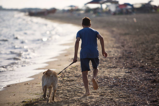 istock Child playing with dog at the beach 961793978