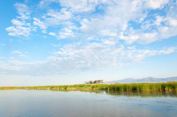 istock steppe summer. Turgai save. Lake in the desert 961797556