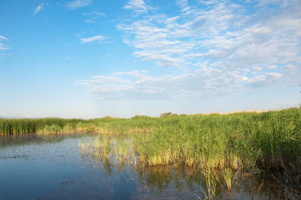 istock steppe summer. Turgai save. Lake in the desert 961797574