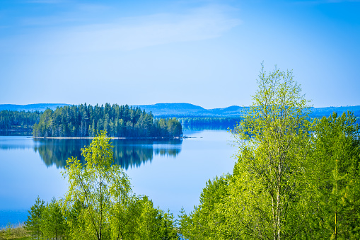 Early summer landscape from Sotkamo, Finland.