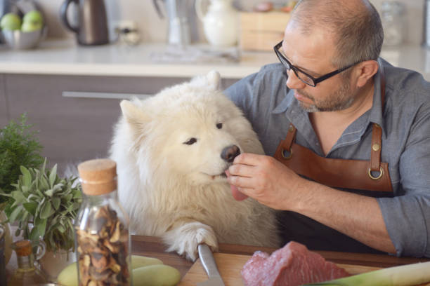 hombre cocinando en la cocina (con perro samoyedo) - oilcan fotografías e imágenes de stock
